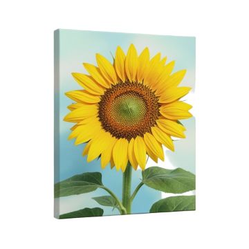 Sunflower Modern
