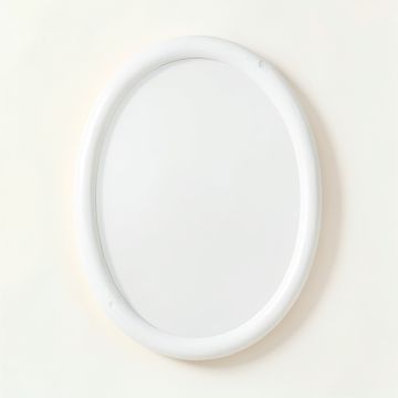 Maple Brook Framed Wall Mirror - White (synthetic illustration; no displayed measurements)