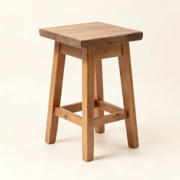 Burney Solid Wood Counter & Bar Stool (synthetic illustration; no displayed measurements)