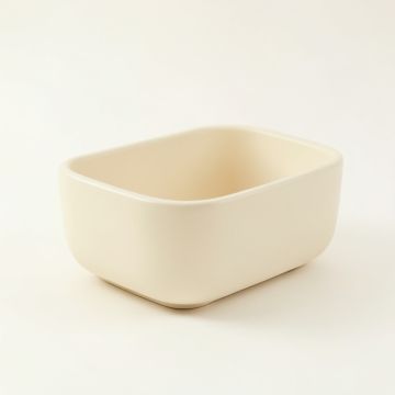 Juniper Branch Empty Railing Planter With Integral Brackets - Cream (synthetic illustration; no displayed measurements)