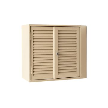 Moss Canyon Wall-Mounted Entry Cabinet - Beige