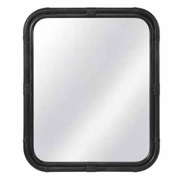 Fern Canyon Framed Wall Mirror - Black