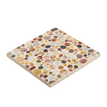 Sting 1 '' X 1 '' Seashell Mosaic Tile