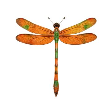 Peacock Dragonfly Wall Décor