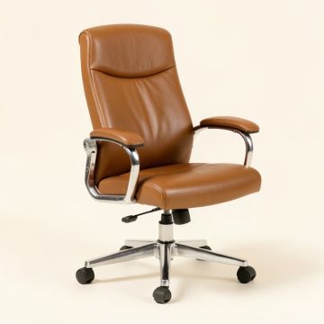 Beechmoor Ergonomic Office Chair (synthetic illustration; no displayed measurements)