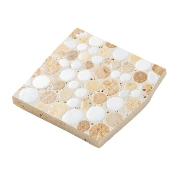 0.6 '' X 1.2 '' Seashell Mosaic Subway Tile
