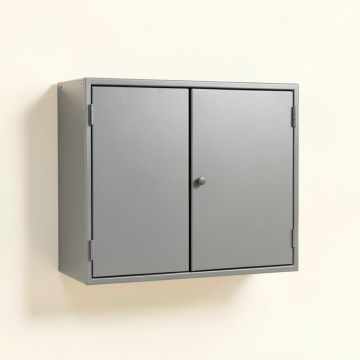Birch Crest Wall-Mounted Entry Cabinet - Gray (synthetic illustration; no displayed measurements)