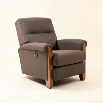 45.5 '' Wide Manual Rocker Standard Recliner (synthetic illustration; no displayed measurements)
