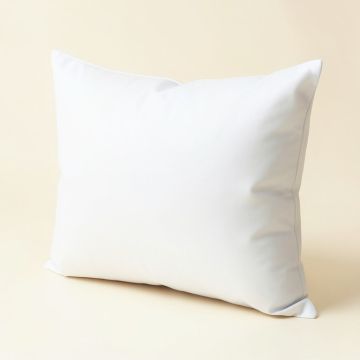 Alwyn Home Polyester Full Body Pillow Cover (synthetic illustration; no displayed measurements)
