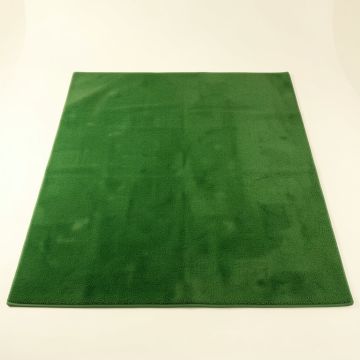 Laurel Bridge Rectangular Area Rug - Green (synthetic illustration; no displayed measurements)