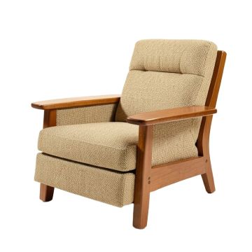 Dracoulis 35 '' Wide Manual Standard Recliner