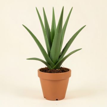 Artificial Aloe With Tree In Pot (synthetic illustration; no displayed measurements)