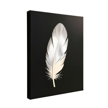 Feather I Graphic Art On Wrapped Canvas