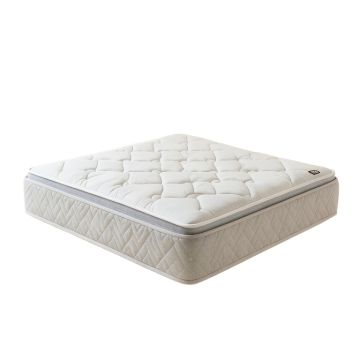 Serta 8 '' Plush Innerspring Mattress