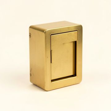 Brass Mail Slot (synthetic illustration; no displayed measurements)