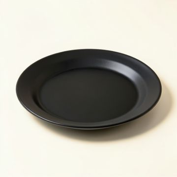 Sighwaldi 7 '' Melamine Salad Plate (synthetic illustration; no displayed measurements)