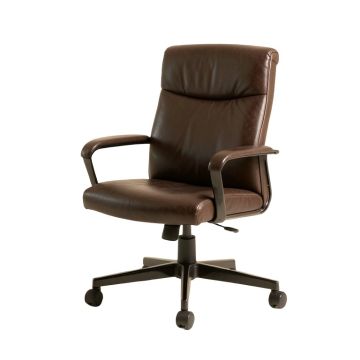 Aracele Ergonomic Executive Leather Office Chair