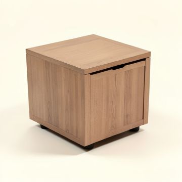 Wilfried Rectangular End Table With Storage (synthetic illustration; no displayed measurements)