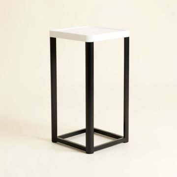 Aaryn-John Plant Stand (synthetic illustration; no displayed measurements)
