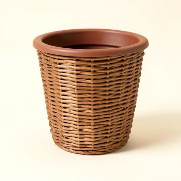 Mckee Self Watering Wicker Pot Planter (synthetic illustration; no displayed measurements)