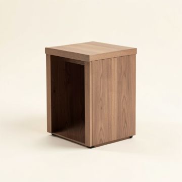 Amirah End Table With Storage (synthetic illustration; no displayed measurements)