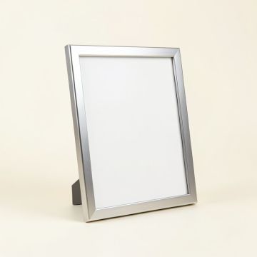Wayfair Basics® Aluminum Thin-Border Design Picture Frame (synthetic illustration; no displayed measurements)