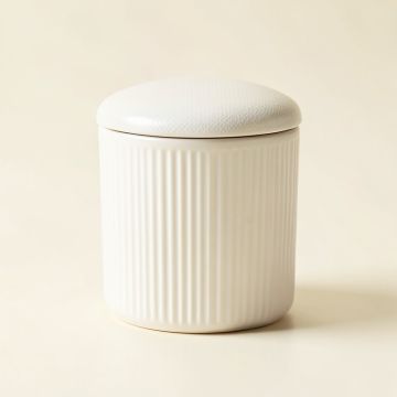 Hazel Bluff Storage Canister With Lid - White (synthetic illustration; no displayed measurements)