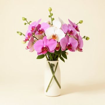 Dancing Lady Silk Orchid Floral Arrangement In Vase (synthetic illustration; no displayed measurements)
