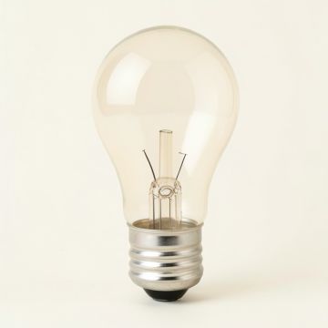 60 Watt Incandescent Non-Dimmable Light Bulb E12/Candelabra Base (synthetic illustration; no displayed measurements)