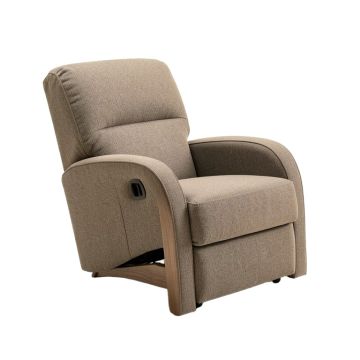 Collage 29.5 '' Wide Manual Rocker Standard Recliner