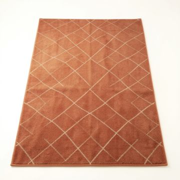 Birch Bluff Rectangular Area Rug - Terracotta (synthetic illustration; no displayed measurements)
