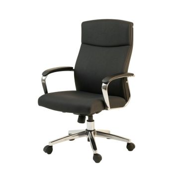 Adalaina Executive Chair (synthetic illustration; no displayed measurements)