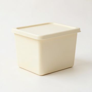 Dune Branch Closed Outdoor Storage Box - Cream (synthetic illustration; no displayed measurements)