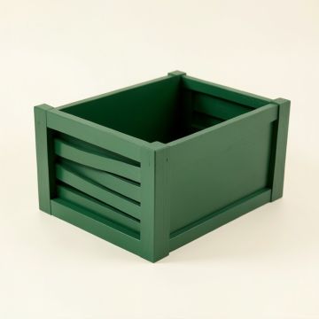 Lake Dale Empty Furniture-Style Litter Enclosure - Green (synthetic illustration; no displayed measurements)