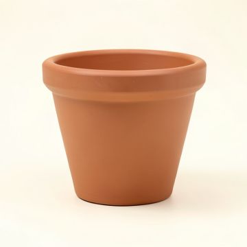 Large Terracotta Pot Planter Without Saucer (synthetic illustration; no displayed measurements)