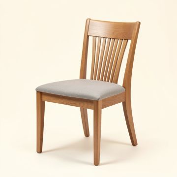 Aalaysha Solid Wood Dining Chair (synthetic illustration; no displayed measurements)