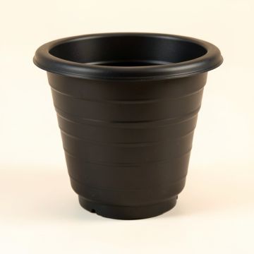 Reed Brook Empty Planter - Black (synthetic illustration; no displayed measurements)