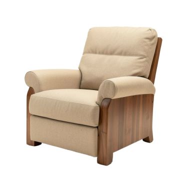 25 '' Wide Power Recliner