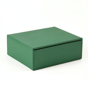 Glen Field Desktop Monitor Riser - Green (synthetic illustration; no displayed measurements)