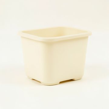Cedar Bridge Empty Raised Planter - Ivory (synthetic illustration; no displayed measurements)