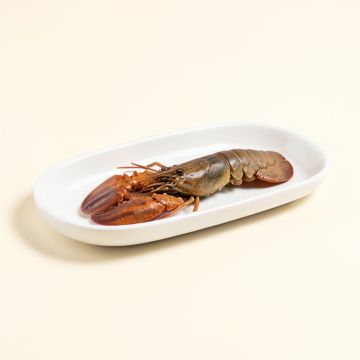 Lobster Long Oval Platter (synthetic illustration; no displayed measurements)