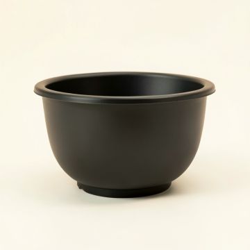 Briar Arc Empty Planter (synthetic illustration; no displayed measurements)