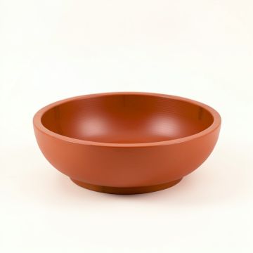 Fern Arc Dining Bowl (synthetic illustration; no displayed measurements)