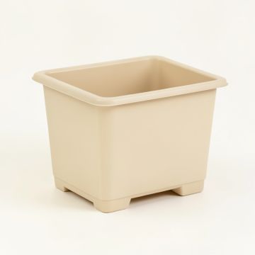Holly Bridge Empty Raised Planter - Beige (synthetic illustration; no displayed measurements)