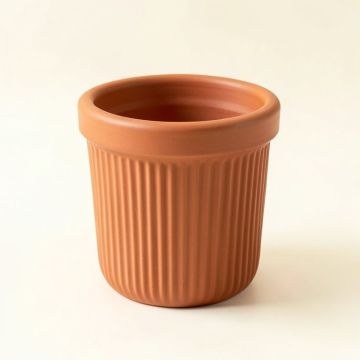Cliff Arc Empty Planter (synthetic illustration; no displayed measurements)