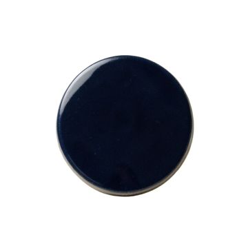 1 '' X 1 '' Porcelain Penny Round Mosaic Wall & Floor Tile