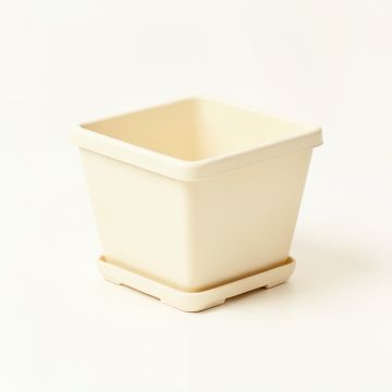 Lake Crossing Empty Planter - Cream (synthetic illustration; no displayed measurements)