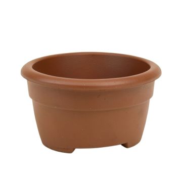 Waterford Stump House Planter Fairy Garden