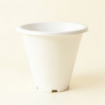Oak Bridge Empty Railing Planter With Integral Brackets - White (synthetic illustration; no displayed measurements)