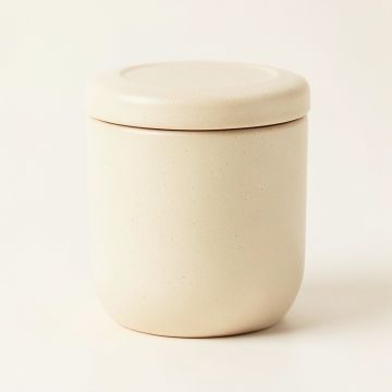 Fern Bridge Storage Canister With Lid - Cream (synthetic illustration; no displayed measurements)
